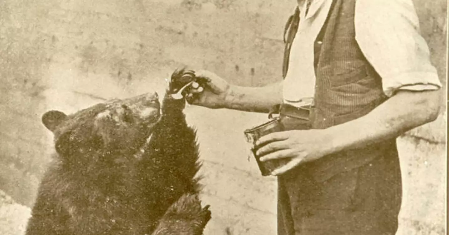 Winnie the Pooh origins | London Zoo